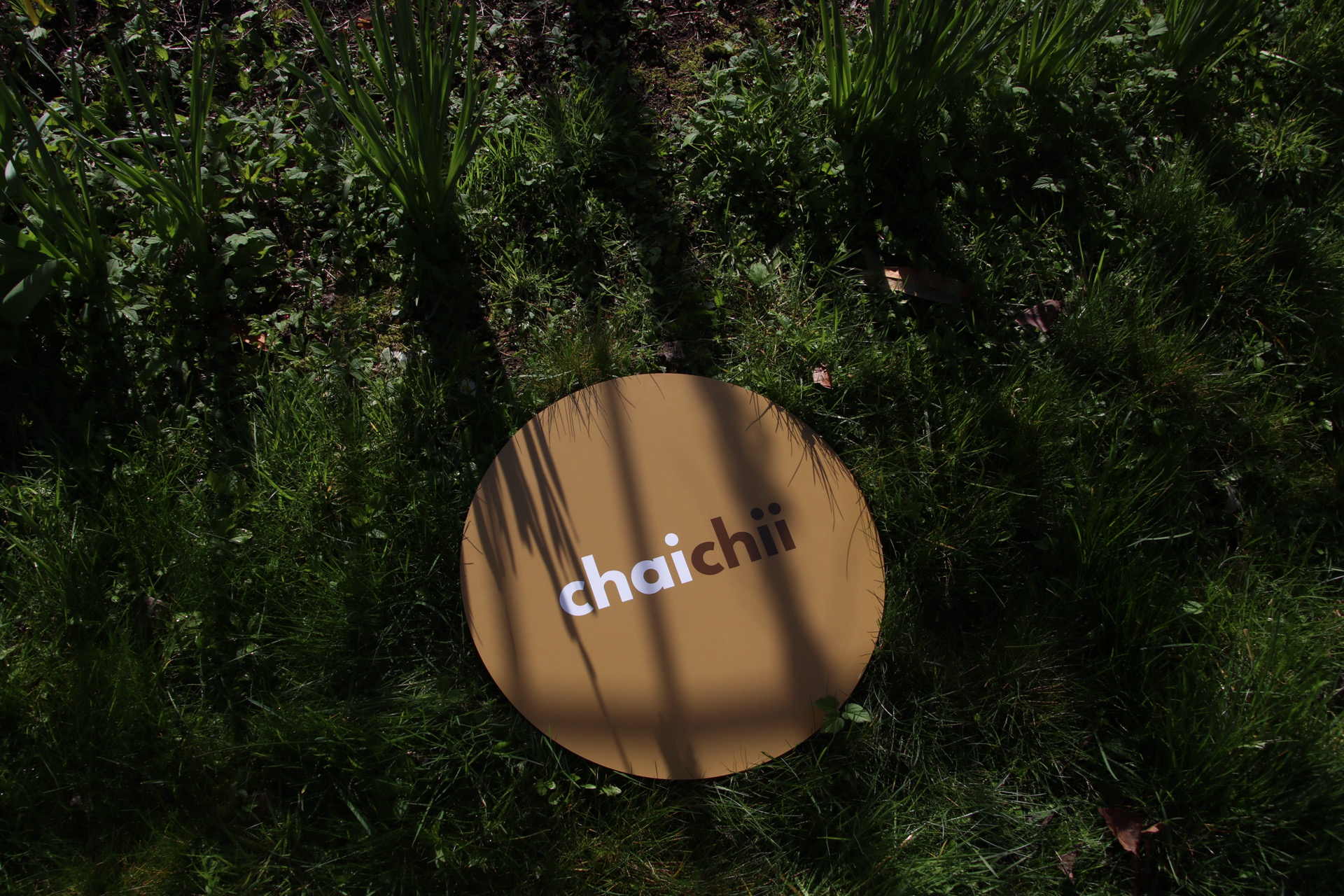 ChaiChii logo disc in grass